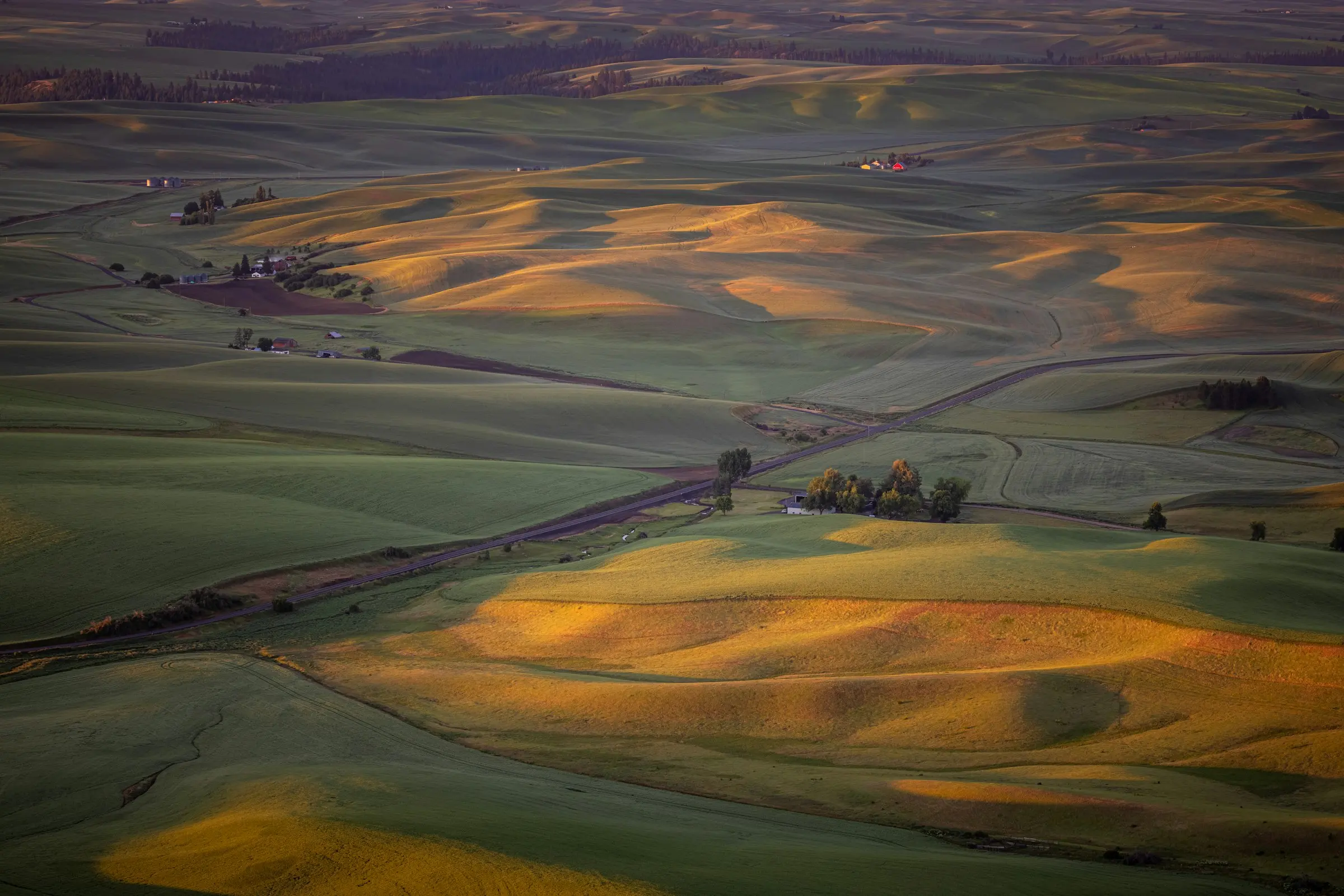 Golden-hour light over the rolling wheat hills of Eastern Washington